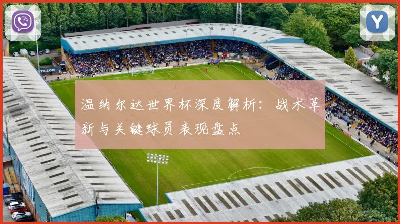 温纳尔达世界杯深度解析：战术革新与关键球员表现盘点