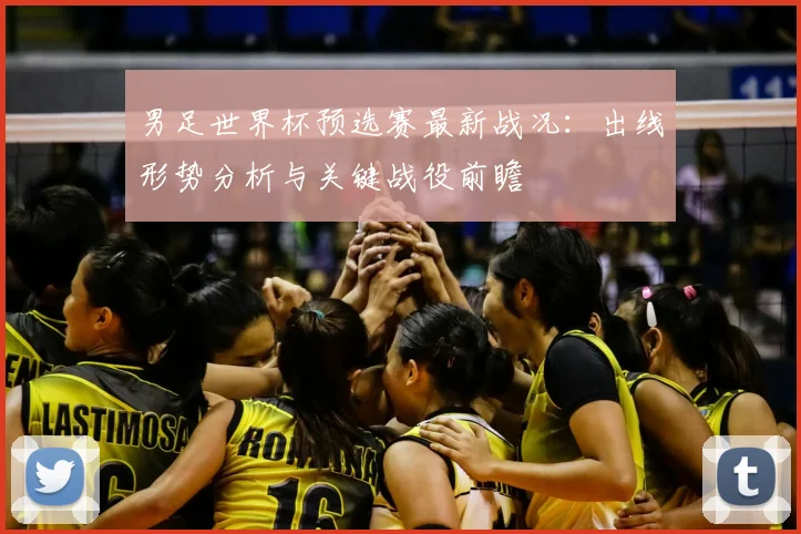 男足世界杯预选赛最新战况:出线形势分析与关键战役前瞻