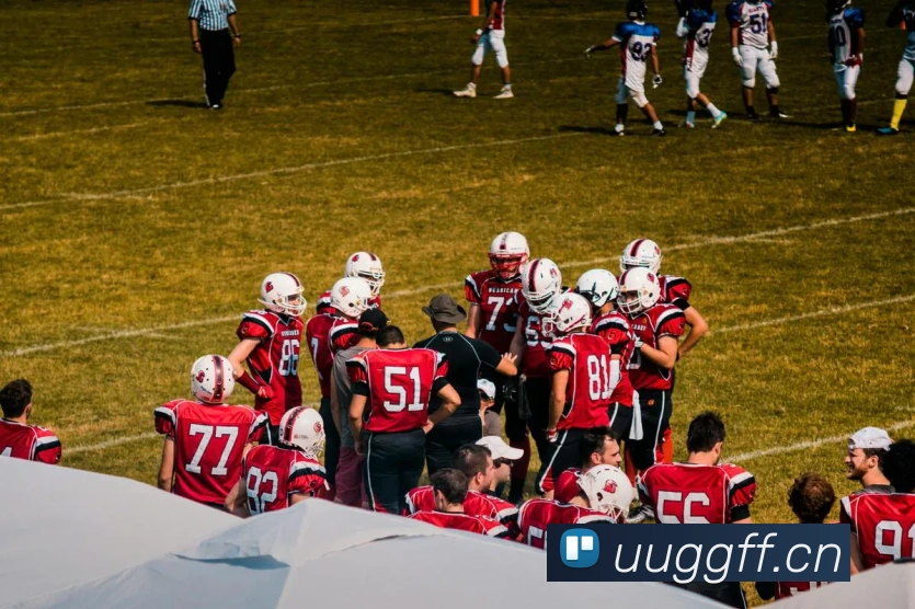 hth体育官网平台生态图